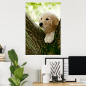 Poster Labrador Chiot Assis Dans Un Cadre De Bois (Bureau à domicile)