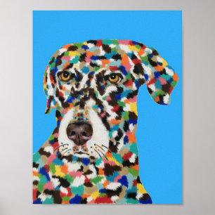 Poster Labrador chocolat