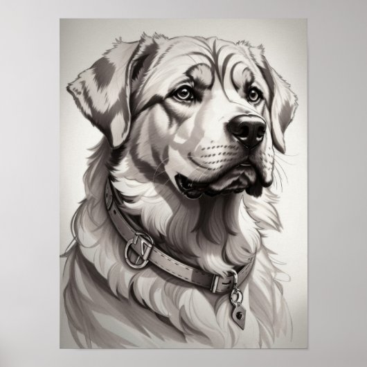 Poster Labrador Dog (Devant)