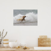 Poster Labrador - Jaune - Allez chercher ! (Cuisine)