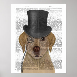 Poster Labrador jaune, terroir et Casquette