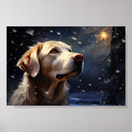 Poster Labrador la nuit (Devant)