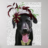 Poster Labrador Noir Avec Fascinateur Vert (Devant)