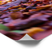 Poster Labrador noir dans les feuilles d'automne (Coin)