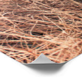 Poster Labrador Noir En Graine Sèche (Coin)