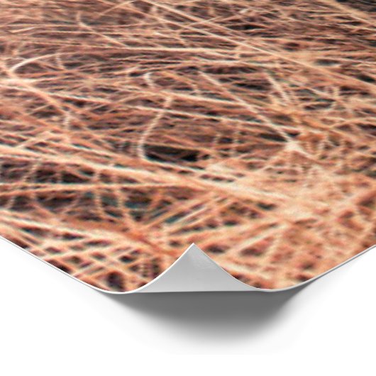 Poster Labrador Noir En Graine Sèche (Coin)