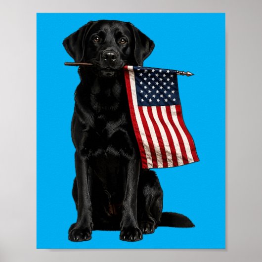 Poster Labrador noir tenant un drapeau américain drôle do (Devant)