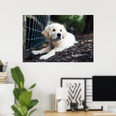 Poster Labrador Puppy (Bureau à domicile)