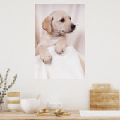 Poster Labrador Puppy (Cuisine)