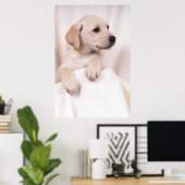 Poster Labrador Puppy (Bureau à domicile)