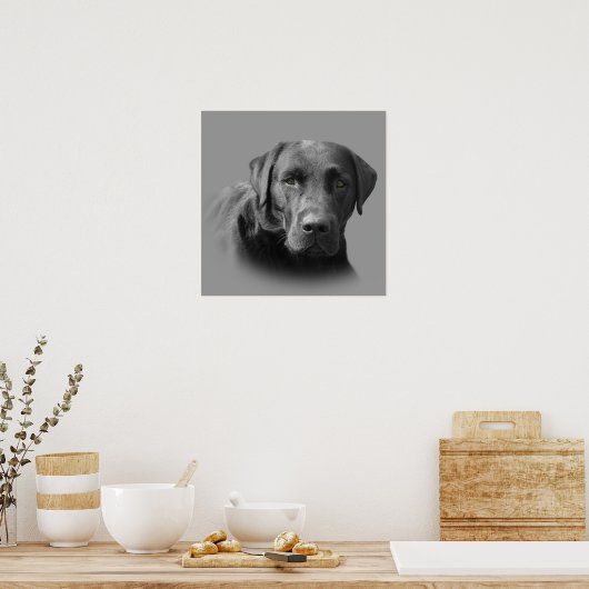 Poster Labrador Retriever (Cuisine)