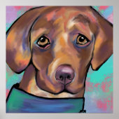 POSTER LABRADOR RETRIEVER            (Devant)