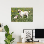 Poster Labrador Retriever (Bureau à domicile)