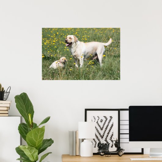 Poster Labrador Retriever (Bureau à domicile)