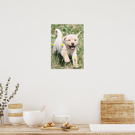 Poster Labrador Retriever (Cuisine)