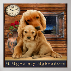 Poster Labrador Retriever