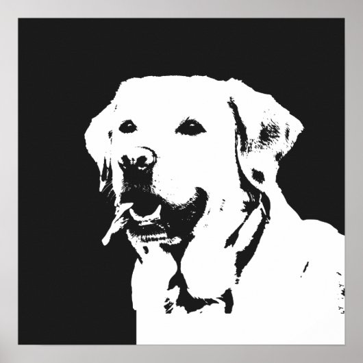 Poster Labrador Retriever (Devant)