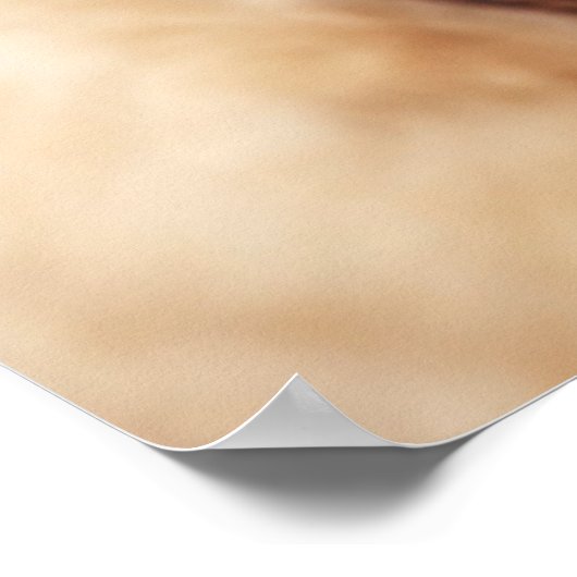 Poster Labrador Retriever (Coin)