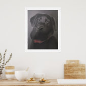 Poster Labrador Retriever Beautiful 24" x 30" (Cuisine)