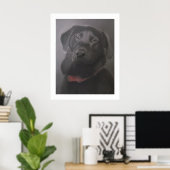 Poster Labrador Retriever Beautiful 24" x 30" (Bureau à domicile)