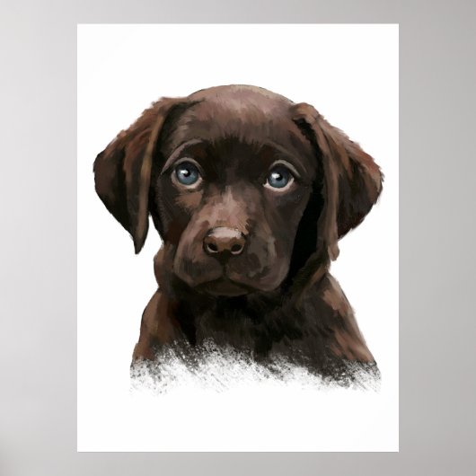Poster Labrador Retriever Chocolat (Devant)