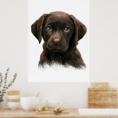 Poster Labrador Retriever Chocolat (Cuisine)