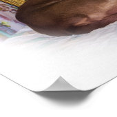 Poster Labrador Retriever Dog, Dormir (Coin)