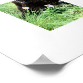 Poster Labrador Retriever Et Fleurs Violettes (Coin)