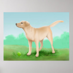 Poster Labrador retriever et sa balle de tennis