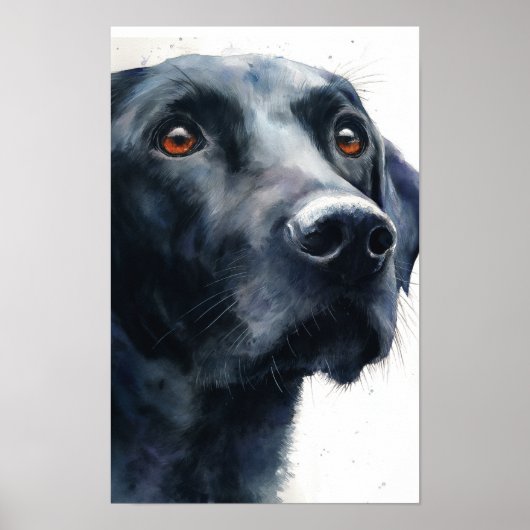 Poster Labrador retriever noir aquarelle (Devant)