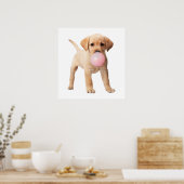 Poster Labrador Retriever Puppy Bubble Gum Nursery Child (Cuisine)