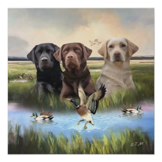 Poster Labrador Retrievers, (Chasse aux chiens) (Devant)
