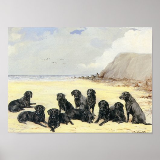 Poster Labrador Retrievers On The Beach Print (Devant)