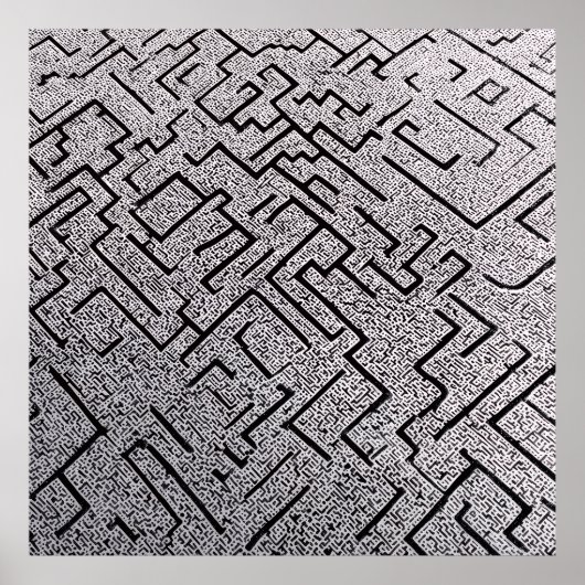 Poster Labyrinthe Intrigué Noir et Blanc (Devant)