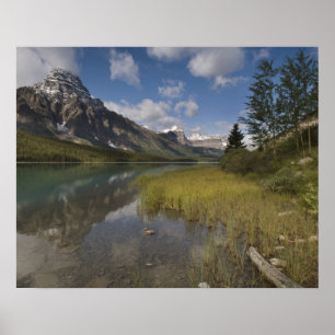 Poster Lac aux oiseaux d'eau le long de l'Icefields Parkw