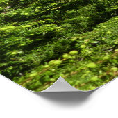 Poster Lac Avalanche II dans le parc national Glacier (Coin)