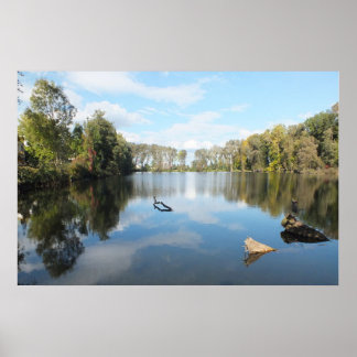 Poster Lac bordé d'arbres