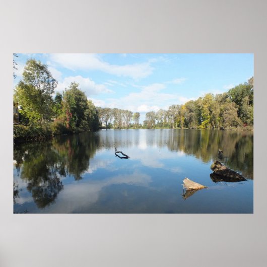 Poster Lac bordé d'arbres (Devant)