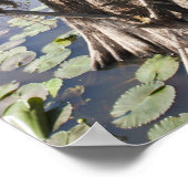 Poster Lac Caddo, affût de chasse (Coin)