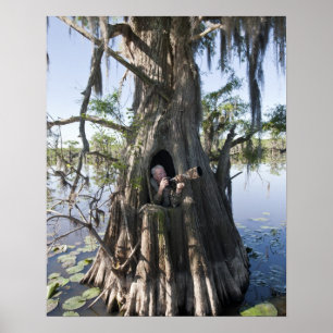 Poster Lac Caddo, affût de chasse