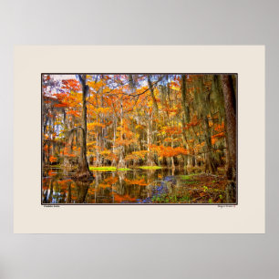 Poster Lac Caddo - Automne - Texas