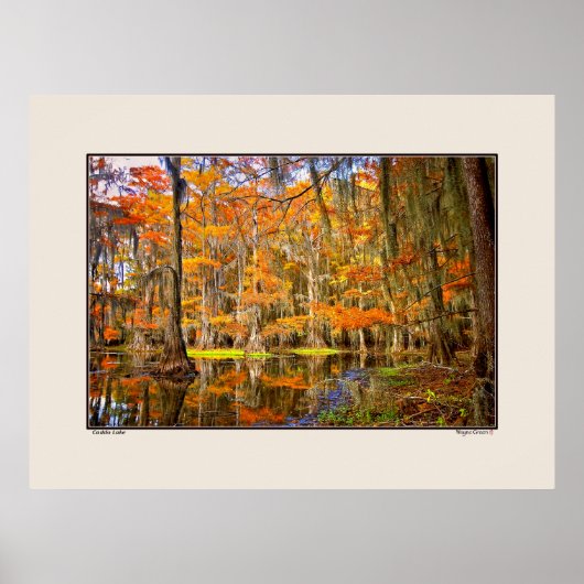 Poster Lac Caddo - Automne - Texas (Devant)
