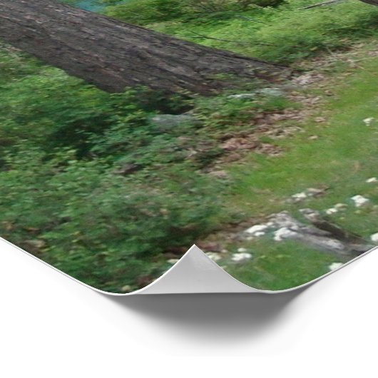 Poster Lac Chelan (Coin)