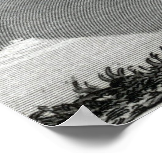 Poster Lac Colden (Coin)