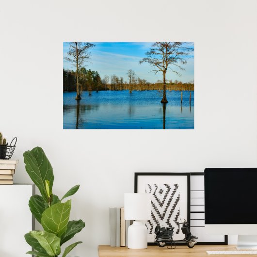 Poster Lac Cypress (Bureau à domicile)