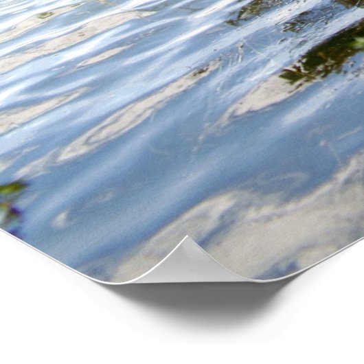 Poster Lac Cypress (Coin)