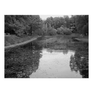 Poster Lac d'automne doré - Édition nordique noir et blan