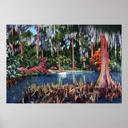 Poster Lac de Galles Floride Cypress marécage et bateau (Devant)