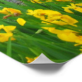 Poster Lac de Lawrence, Kansas (Coin)