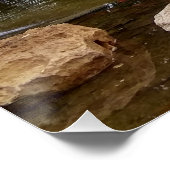 Poster Lac de Swan (Coin)